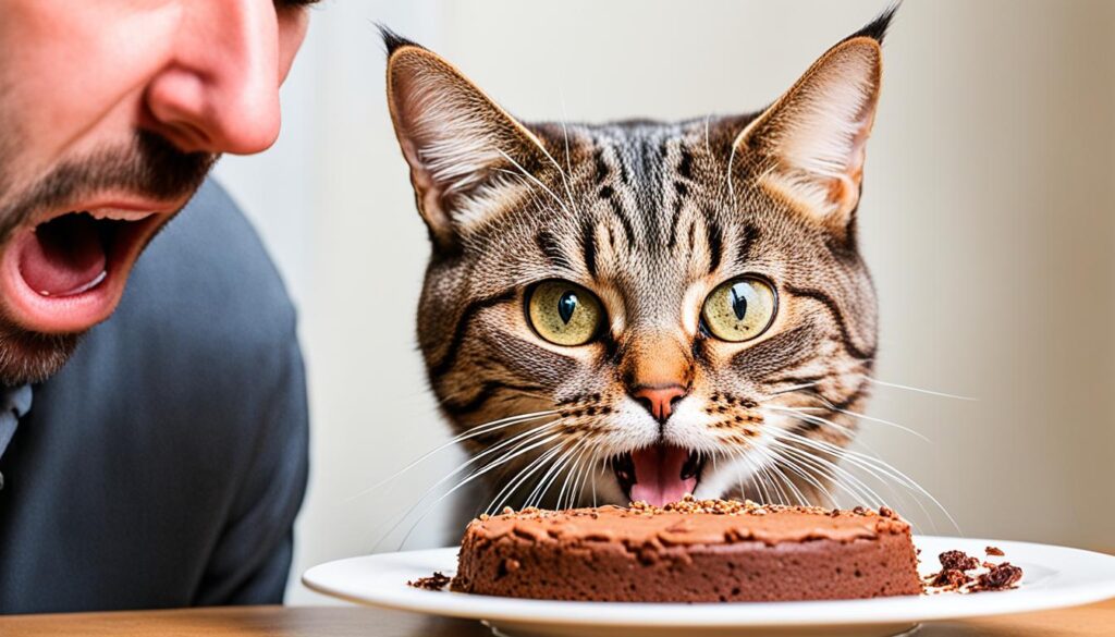 Dangerous Human Foods for Cats